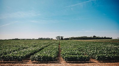 La soja suma tecnología para producir de forma eficiente y sustentable