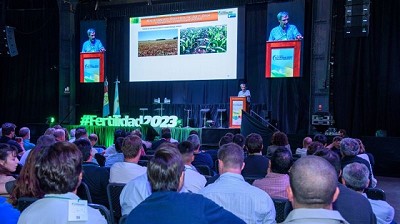 Potasio, un nutriente clave que ya limita los cultivos del litoral argentino y Uruguay