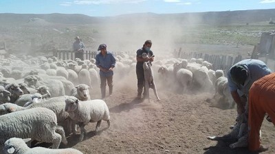 Agricultura Familiar: Consulta pública para incorporar un capítulo al Código Alimentario