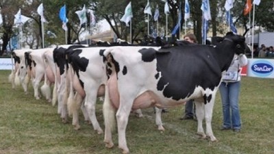 Bahillo en la Expo Todo Láctea: 