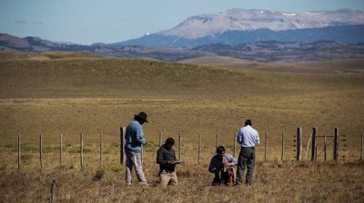 Productores de la Patagonia reciben los primeros pagos por créditos de carbono