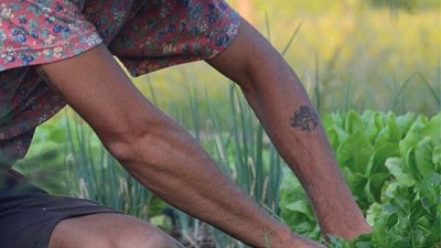 El campanario de Nono, emprendimiento de economía circular y estilo de vida (finca agroecológica)