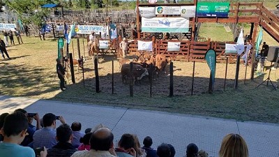 Formosa: Se habilitó el predio ganadero de Laguna Blanca tras cumplir la normativa sanitaria