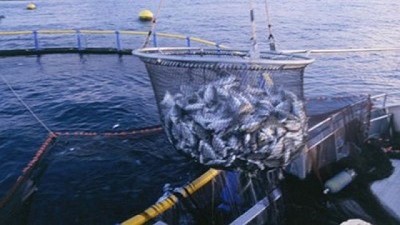 Alivio fiscal para trabajadores y trabajadoras de la pesca