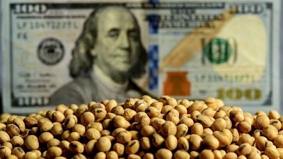 El dólar soja y el cierre de balances