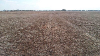 Comenzar la campaña con el lote limpio de malezas es la mejor estrategia