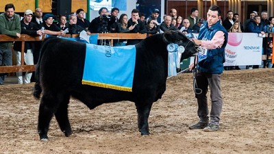 El mejor ternero negro fue de Don Abraham de Tres Arroyos y el colorado de La Pastoriza de San Miguel del Monte