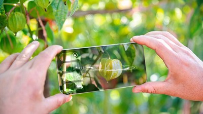 Inteligencia artificial en el agro: Un camino hacia una mayor eficiencia y productividad