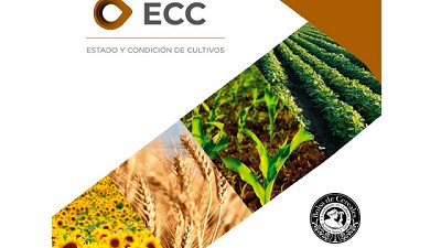 Incia la campaña 2023/24 para el trigo, con demoras en la siembra