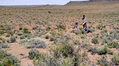 Una esperanza en la estepa patagónica