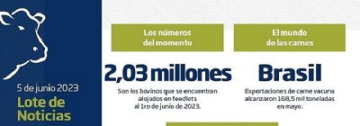 Oferta de hembras: segundo mes consecutivo con elevados envíos a faena