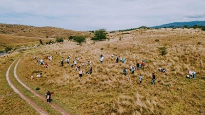 Salvar el planeta está a un click: reforestá Córdoba con la fábrica de árboles Baum (plantás uno digital y se transforma en uno real)