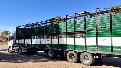 Inicia el Plan para verificar el estado de habilitación de medios de transportes de animales