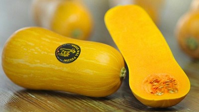 Coquena Argentum INTA: la variedad de zapallo que trasciende en Europa