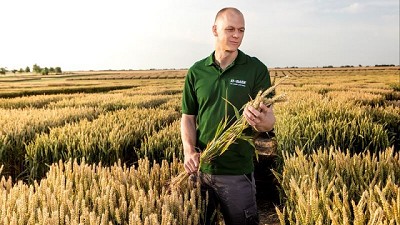 BASF muestra sus estrategias de manejo para trigo y cebada ante el comienzo de la campaña fina