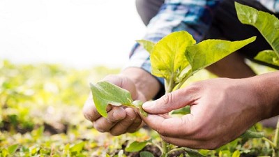 Restauración ecológica para convertir al agro en eficiente, rentable y competitivo