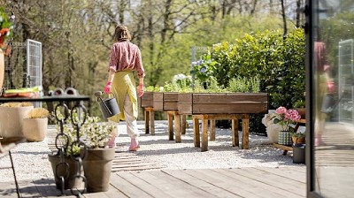 ¿Qué es el traspatio? Todos somos imprescindibles para cuidar la sanidad agropecuaria