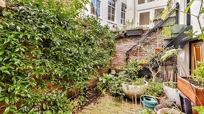 ¿Qué es el traspatio? Todos somos imprescindibles para cuidar la sanidad agropecuaria