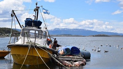 Cómo evitar la pesca incidental en Argentina