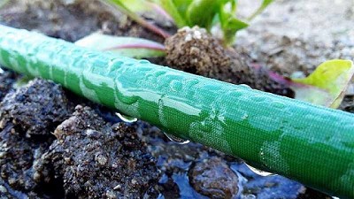 Características del riego exudante