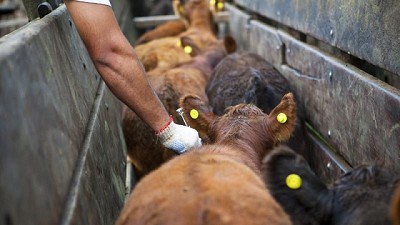 Nueva Comisión Directiva de CAPROVE