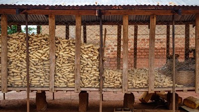 Informe OCDE-FAO Perspectivas agrícolas 2023-2032