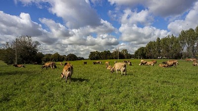 Día de la Ganadería: El bienestar animal representa una ventaja para todas las especies