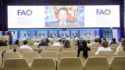 Hay 122 Mill de personas más que en 2019 afectadas por el hambre debido a múltiples crisis - Informe de las Naciones Unidas