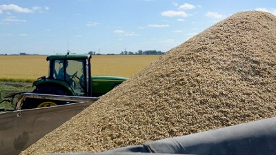 La inversión directa en capital de trabajo para la Campaña Agrícola 2023/24 se estima en más de 24 mil millones de dólares para casi 39 millones de hectáreas