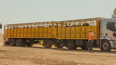 Cómo consultar el estado de habilitación de transportes de animales o alimentos