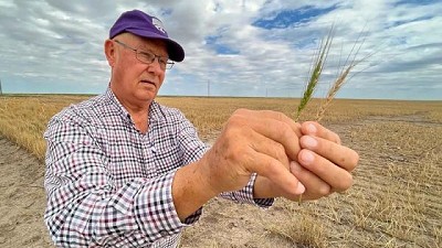 Nestlé redobla esfuerzos para que sus agricultores se vuelquen a la agricultura regenerativa