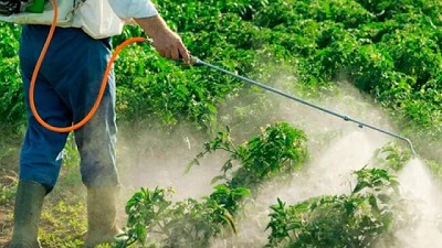 La prohibición de glifosato está causando efectos “desde ahora” a los exportadores