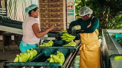Agricultura Familiar: la importancia para el desarrollo de América Latina y el Caribe