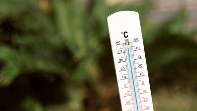 Las olas de calor que perjudican la agricultura de Europa, EE.UU. y Asia