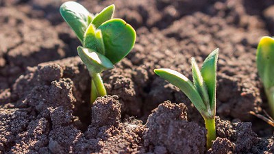 Herramientas para una mejor implantación