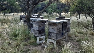Ambiente: Se prohíbe el uso de productos formulados que contengan Fipronil
