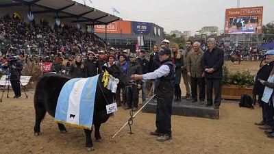 La Gran Campeón Hembra fue para Los Murmullos y la Reservada para Spinella
