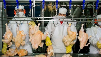 Vietnam reabre su mercado a las exportaciones de productos avícolas desde Argentina