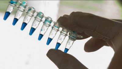 Mejoramiento genético vegetal para obtener cultivos más eficientes