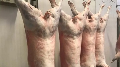 Es “viable” subir consumo de carne ovina en Uruguay