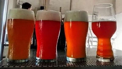 En Misiones agregan productos nativos a la cerveza artesanal (maracuyá, frambuesa, guayaba, etc)