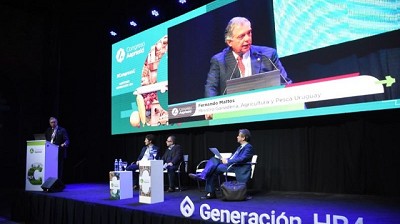 Oportunidades y estrategias para la carne sudamericana