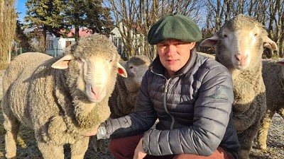 Luces y sombras de la actualidad Ovina en la mirada de un productor local