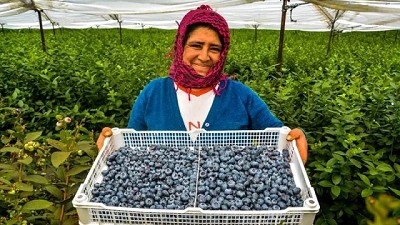 Perú, la otra cara de lo que pudo ser la producción argentina