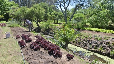 La Secretaría de Agricultura lanzó una nueva edición del Programa CoopAr por $ 3.000 millones