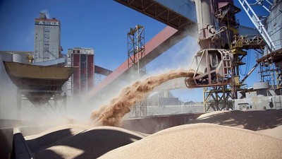 Actualización del Registro de Exportadores de Granos de maíz, sorgo, soja y cebada a China