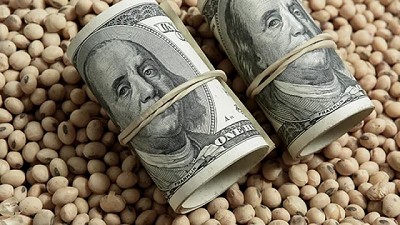 Un nuevo ciclo bien movidito