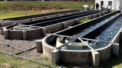 Arrancó la primera planta de tratamiento de aguas con microalgas de la Argentina