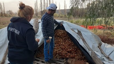 Agricultura Familiar: Se busca fortalecer producciones en la provincia de San Luis