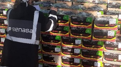 Intentaron ingresar a la Patagonia más de 4 toneladas de ciruelas importadas de España